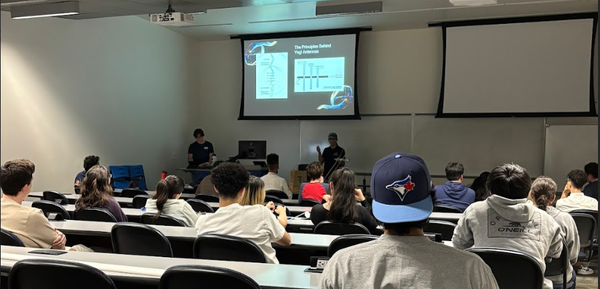 Do You Want to Build a Yagi?